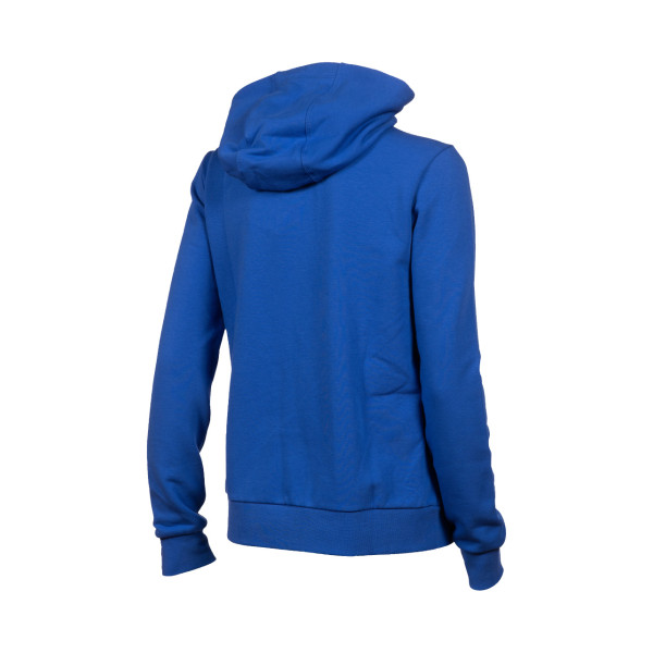 Жіночий реглан Arena WOMENS TEAM HOODED JACKET PAN