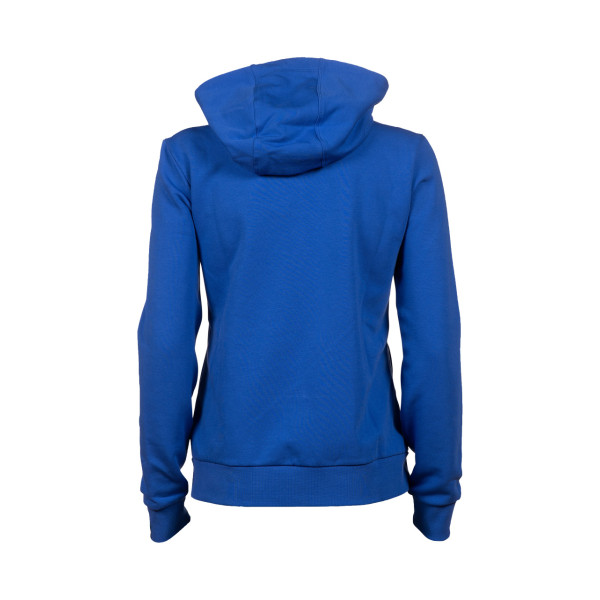 Жіночий реглан Arena WOMENS TEAM HOODED JACKET PAN