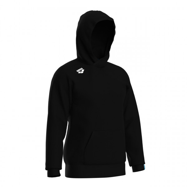 Худі Arena TEAM HOODED SWEAT PANEL