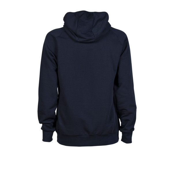 Худі Arena TEAM HOODED SWEAT PANEL