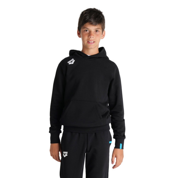 Дитячий реглан Arena R TEAM HOODED SWEAT PANEL