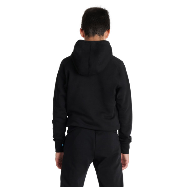 Дитячий реглан Arena R TEAM HOODED SWEAT PANEL