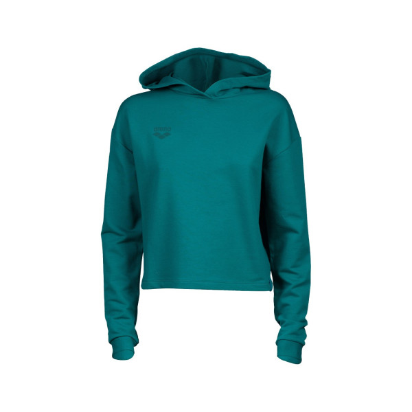 Жіночий реглан Arena HOODED SWEAT FLEECE