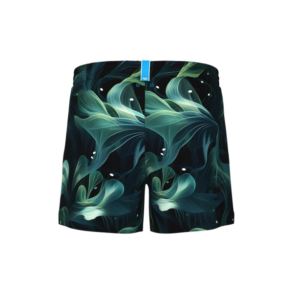 Чоловічі шорти для плавання Arena WATER PRINTS BEACH SHORT AO