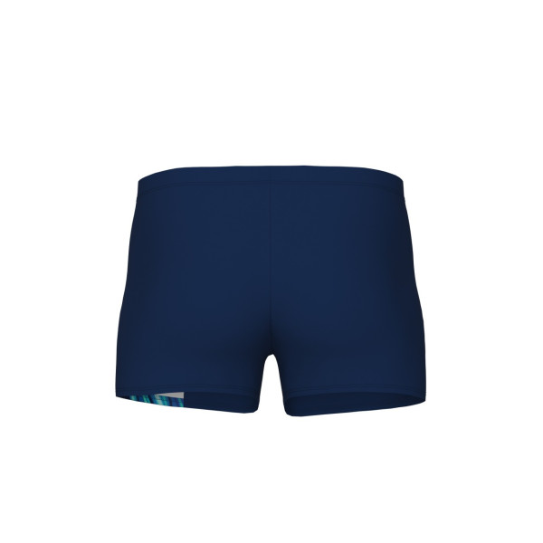 Чоловічі плавки Arena DREAMLINE SWIM SHORT