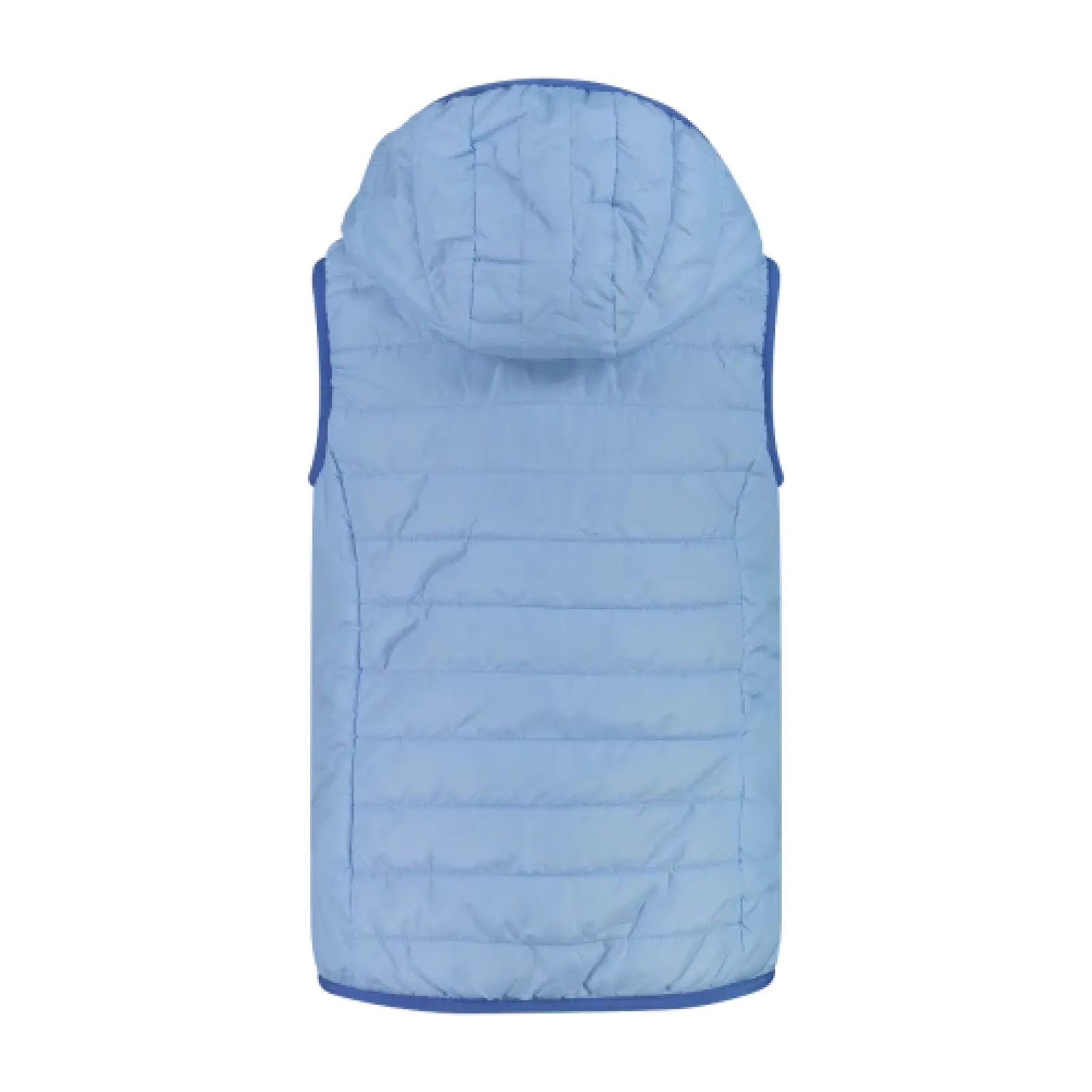 Дитячий жилет CMP KID G VEST FIX HOOD