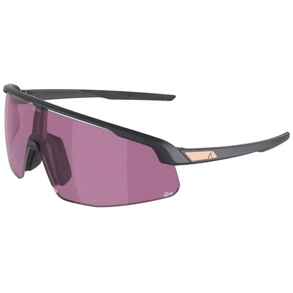 Окуляри сонцезахисні Alpina TURBO PRO Q-LITE