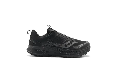 Чоловічі кросівки Saucony RIDE TR2 GTX