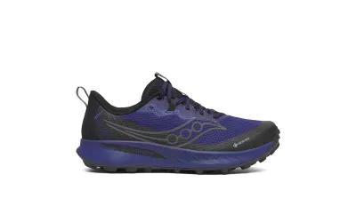 Чоловічі кросівки Saucony PEREGRINE 15 GTX